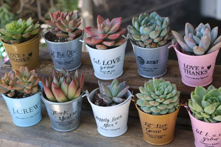 10 Unique and Meaningful Wedding Favors Your Guests Will Love