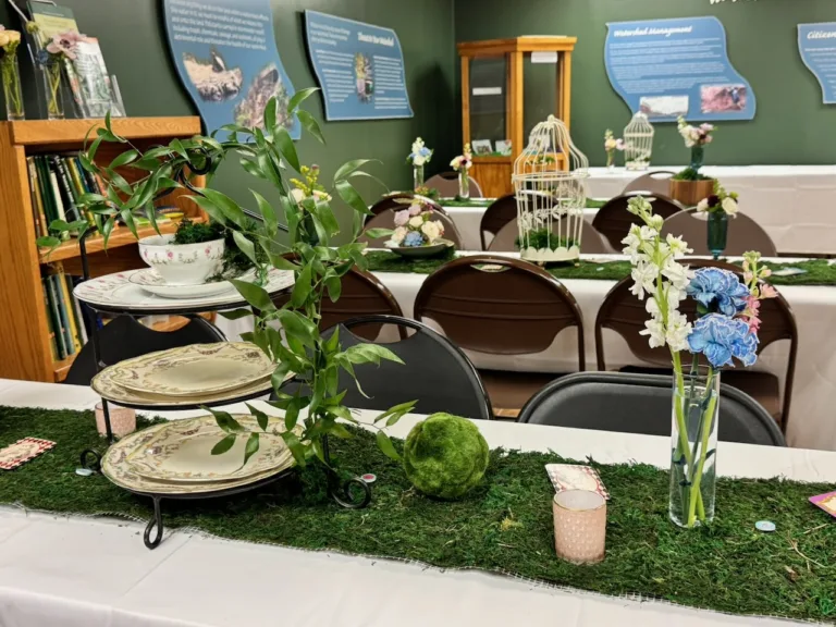 Nature center party room with tables dressed in moss runners, tiered stand of vintage plates with teacup florals and blue and white flower vases, birthday decor in Rockville, MD