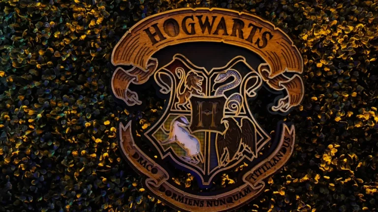 Hogwarts crest on dark green wall, wizard themed 60th birthday party decor in Gaithersburg, MD